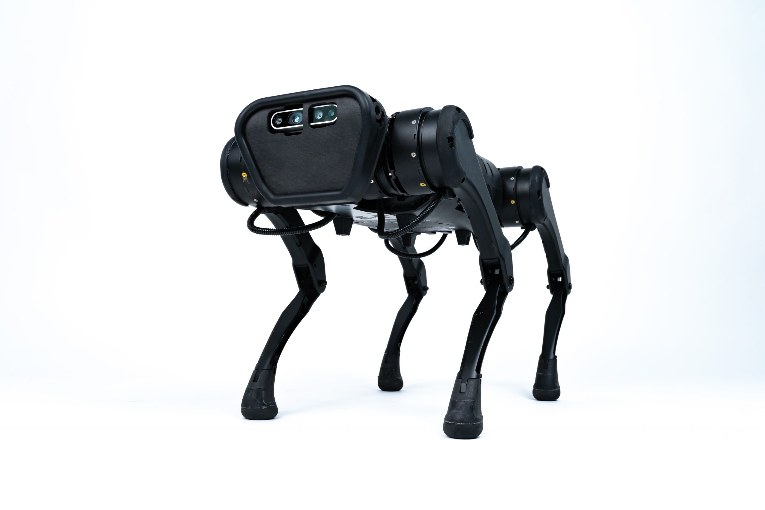 a1 robot dog